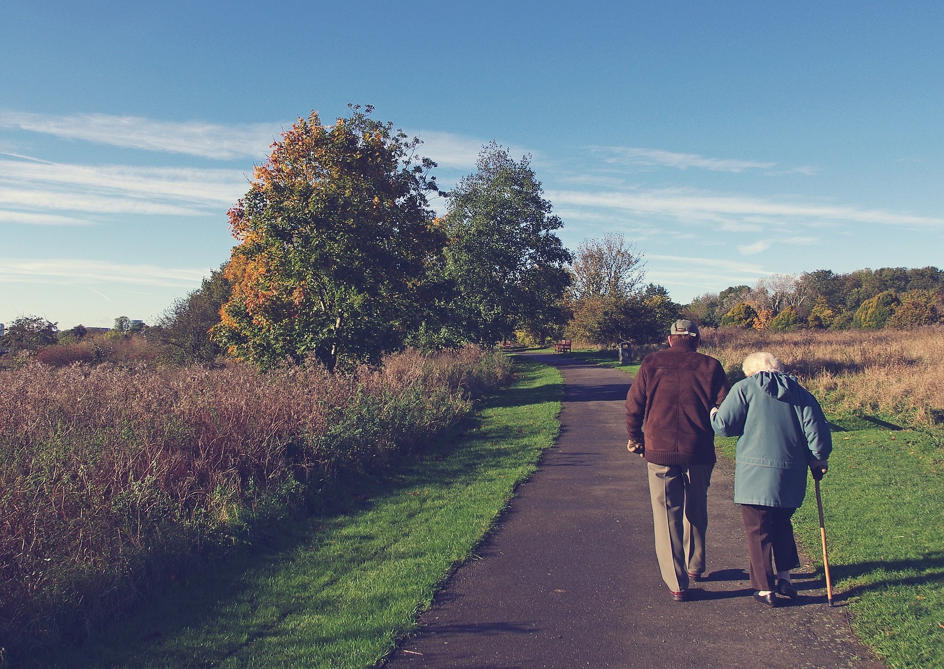 Balance in the Aging Population