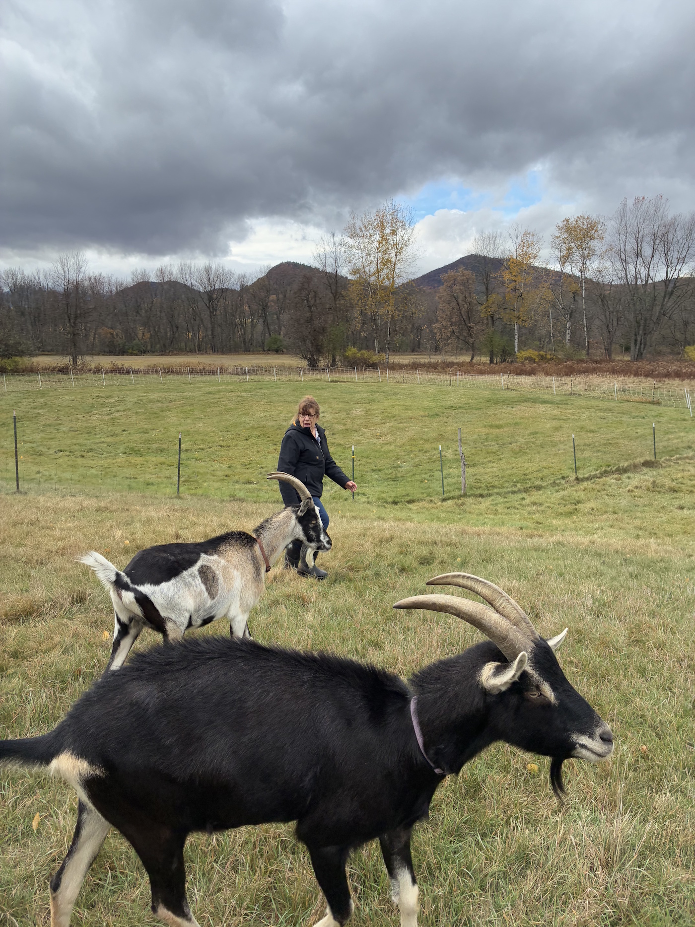 Beth: Getting Back to the Farm